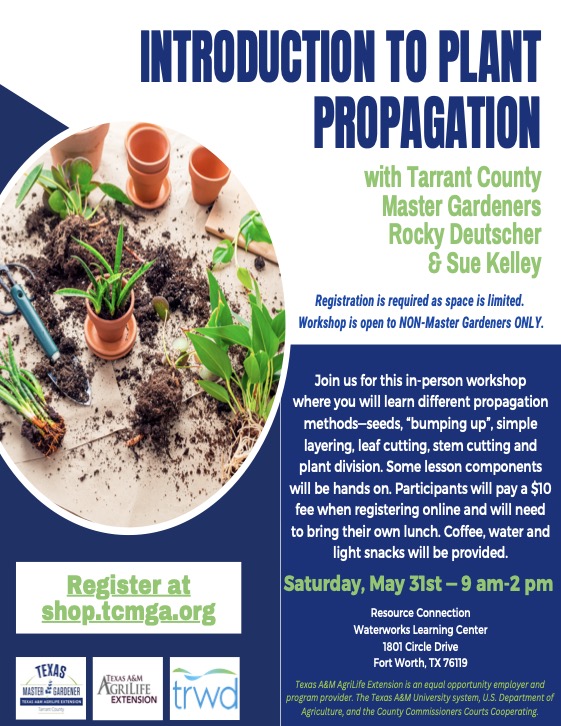 Introduction to Plant Propagation